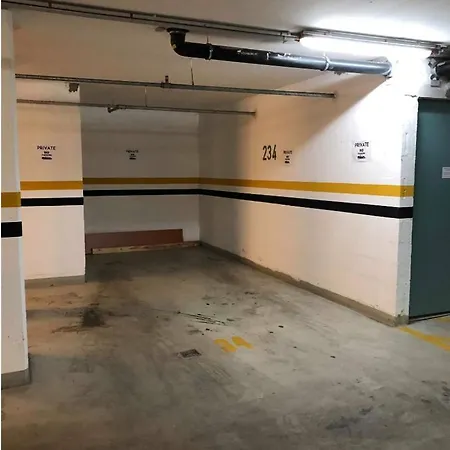 公寓 Penthouse Free Parking 2balconies Ac 布达佩斯