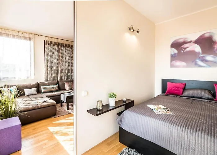 Lejlighed Penthouse Free Parking 2balconies Ac Budapest
